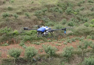 Augmentation de 10 % de la production du poivre du Sichuan grâce aux drones agricoles EAVISION
