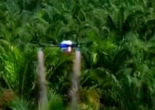 Drones agricoles chinois, rendez-vous en Asie du Sud-Est pour pulvériser !
