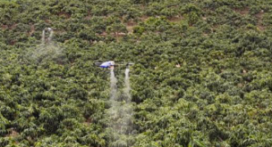 Les fournisseurs de matériaux agricoles du district des arbres fruitiers se transforment en services de drones agricoles
