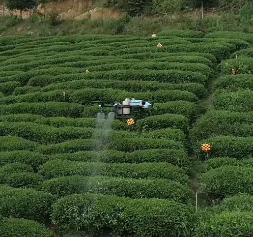 Démonstration de protection des plantes de jardin de thé EAVISION
