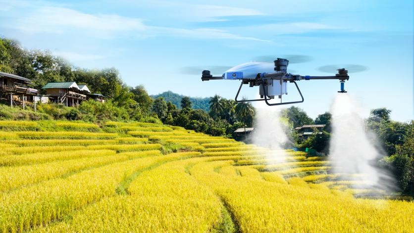 Drone agricole pulvérisant du blé