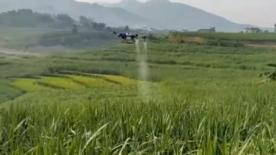 Drone agricole EAVISION Contrôle efficace des ravageurs et des maladies d'été
