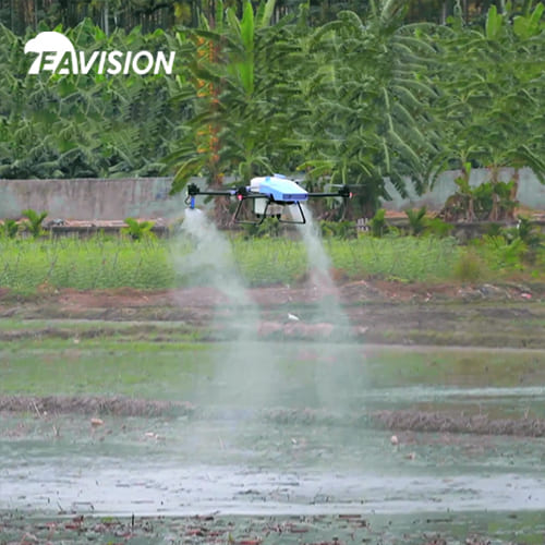 drone pulvérisant la gestion et la protection estivales des rizières pour améliorer l'efficacité
