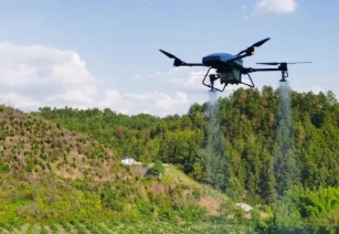 Programme de gestion scientifique des plantations d'agrumes par drone agricole EAVISION
        