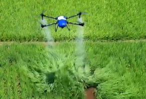 Le bourdon d'agriculture de haute précision pulvérise la rizière avec l'insectifuge
