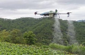 Pulvérisation par drone pour la protection des plantes agricoles EAVISION dans les champs de tabac
        