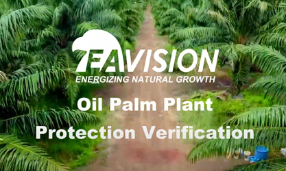 Vérification de la protection des plantes de palmier à huile de pulvérisateur de drone