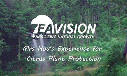 L'expérience de Mme Hou pour la protection des plantes d'agrumes