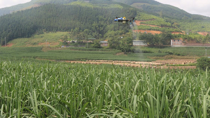 Les drones agricoles intelligents EAvision ont des effets remarquables sur la prévention des vols de canne à sucre !
