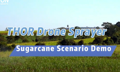 Pulvérisateur de drone THOR pour démonstration de scénario de canne à sucre (Brésil)